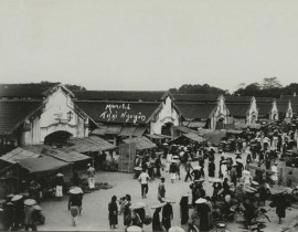 chothainguyen1.jpg