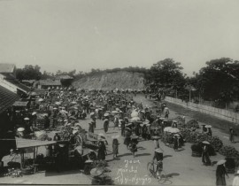 chothainguyen2.jpg